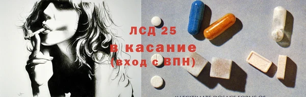 ПСИЛОЦИБИНОВЫЕ ГРИБЫ Богданович