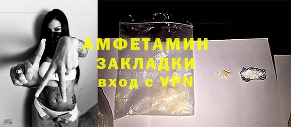 ПСИЛОЦИБИНОВЫЕ ГРИБЫ Богданович