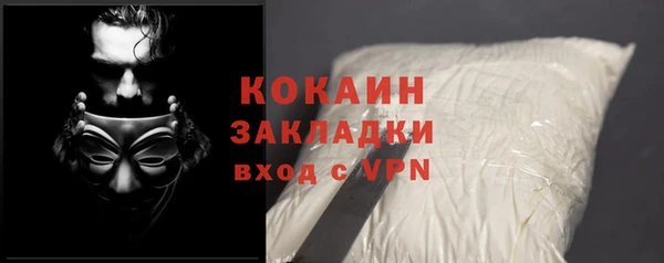 соль ск Богородск