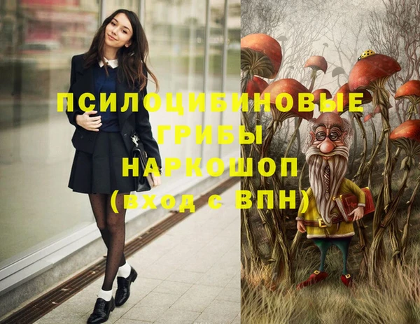 соль ск Богородск