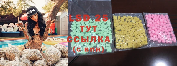 ПСИЛОЦИБИНОВЫЕ ГРИБЫ Богданович