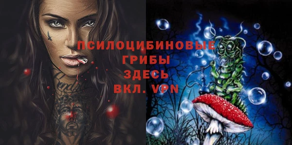 a pvp Богородицк