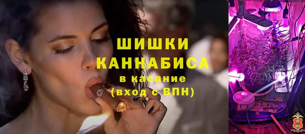 молекула духа Касимов