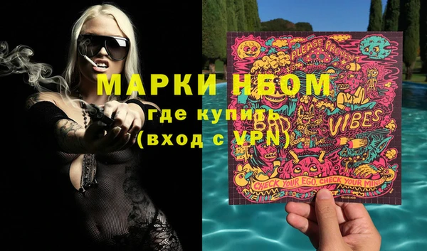 ПСИЛОЦИБИНОВЫЕ ГРИБЫ Богданович