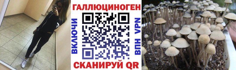 Псилоцибиновые грибы ЛСД  что такое   Костомукша 